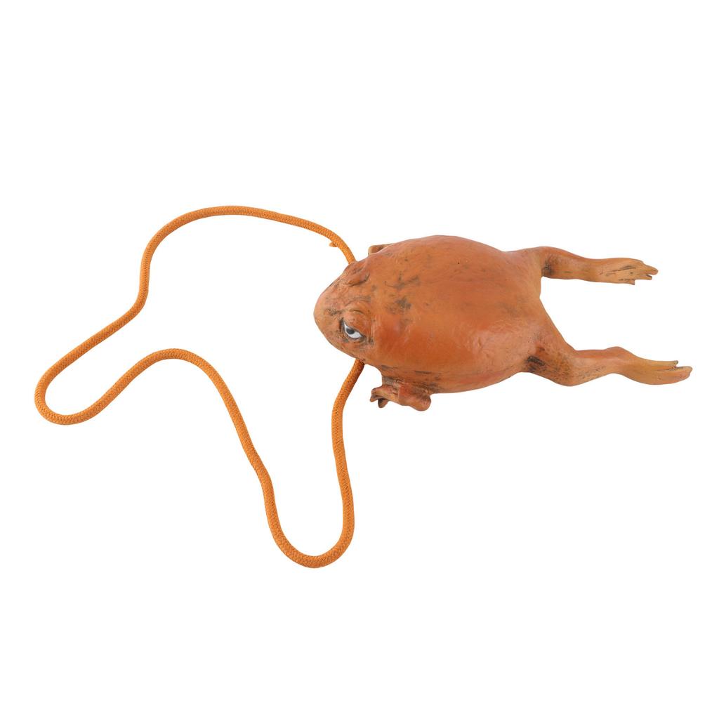 Sugar Cane Toad Full Body Purses Animal Coin Purse Multifunctional Toad Storage Bag Gift for Friends