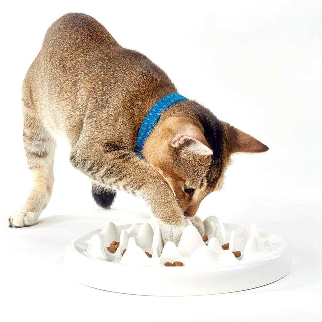 interactive cat bowl