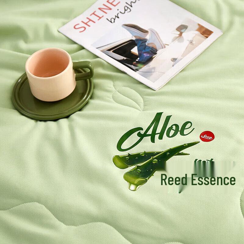 Tangna TN-SQ23033 Aloe Vera Beauty Quilt 4-Piece Bedding Set