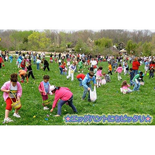 Colorful Egg Case (12 Pieces)