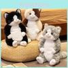Plush Cat Toy With Pp Cotton Filling For Kids And Giftgiving