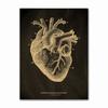 Anatomical Skeleton Chalkboard Poster Kraft Paper Posters DIY Vintage Home Room Medicine Student Decor Medical Art Wall Painting