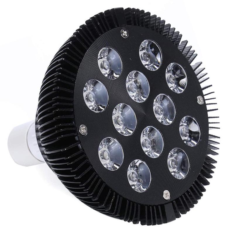 PAR38 Infrared Physiotherapy & LED Plant Growth Lamp – Red/Blue Light, 18W/36W Spotlight