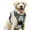 Pet Dog Multi-layer Integrated Leash Harness