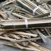 Bamboo Pointed Stakes for Surveying, Garden Layout, & Protective Fencing