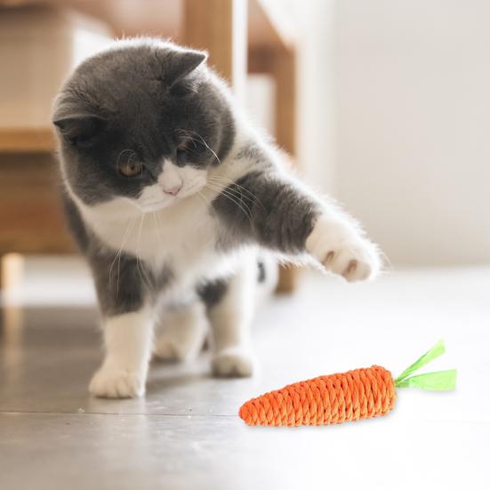 Karotten-Katzen-Beißspielzeug Bissfest Haustier Sisalseil Kauspielzeug Kätzchen Zahngesundheit Zähneputzen Interaktives Langeweile-Spielzeug
