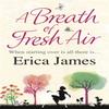 A Breath of Fresh Air by Erica James Paperback Book 9780752883458