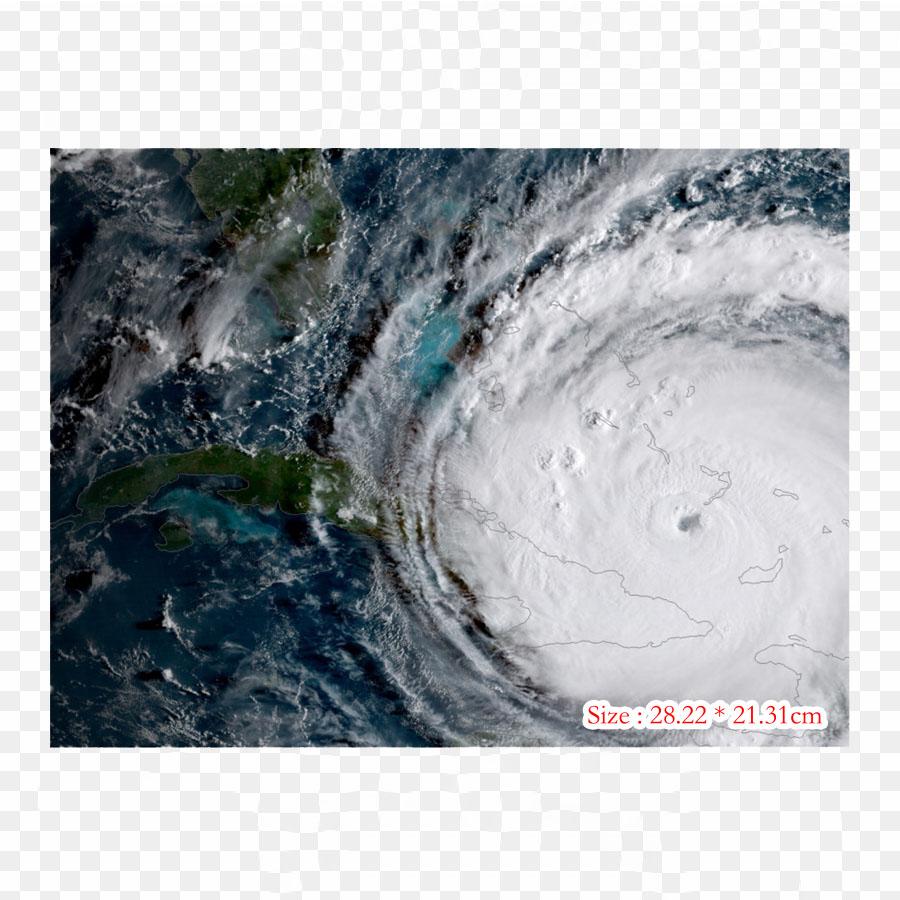 

Флорес Моана цветок розы, термопереносная печать, виниловые нашивки, наклейки для одежды, аппликации «сделай сам», моющиеся нашивки