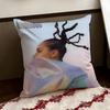 singer AAlicia Keys Cushion Cover Reversible Soft Durable Pillow Cover Home  Car MultiScene Use for Daily Comfort
