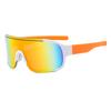 Men's and Women's Outdoor Mountaineering and Hiking Sunglasses UV-proof Discoloration Goggles Sunglasses Polarized Light