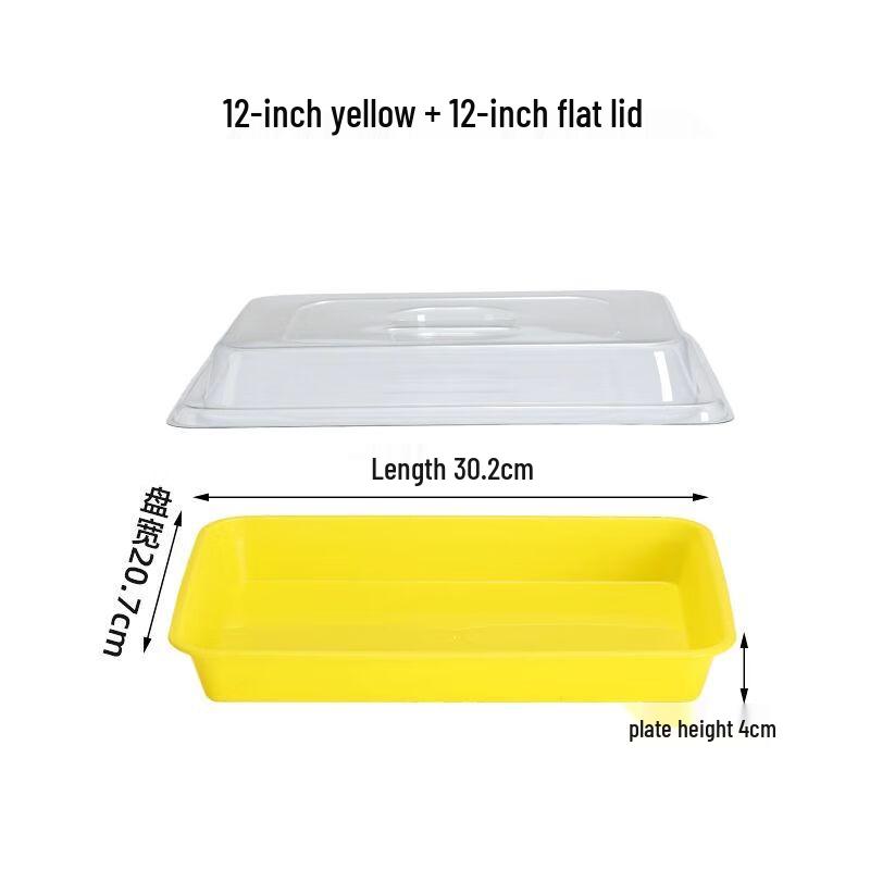 Stainless Steel Rectangular Food Display Tray with Lid