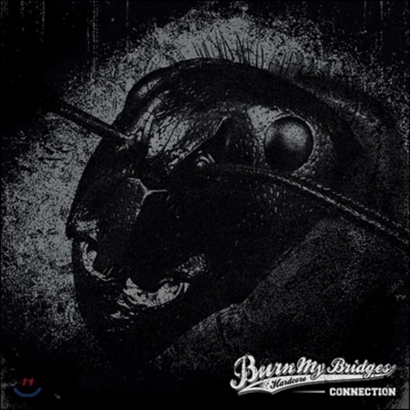

Burn My Bridges - Connection