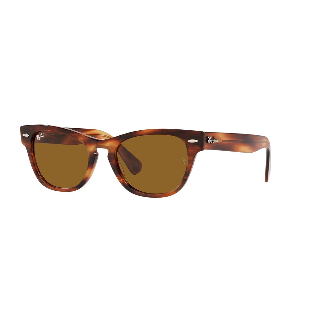 RB2201 Sunglasses STRIPED LENS 54 Ray-Ban Men's 954/33 HAVANA/BROWN