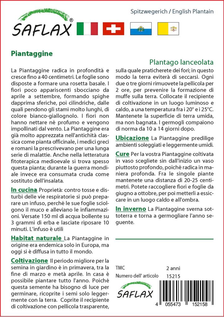 SAFLAX Zahrada v sáčku - Jitrocel kopinatý - 100 semen - Se substrátem ve vhodném stojacím sáčku - Plantago lanceolata