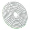 Dry/Wet Polishing Pad Polishing Pad 1pc 6 Inch Discs