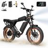 Aairsk X5 Elektrofahrrad mit Blinker, 75N·m Hochgeschwindigkeitsmotor, 48V 15AH, 50KM Reichweite, 20