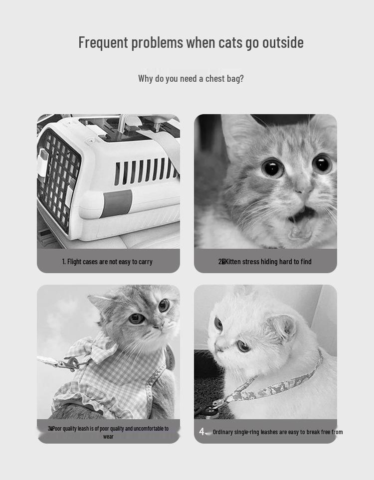 Pustende firebent dobbel skulder kjæledyr reise ryggsekk