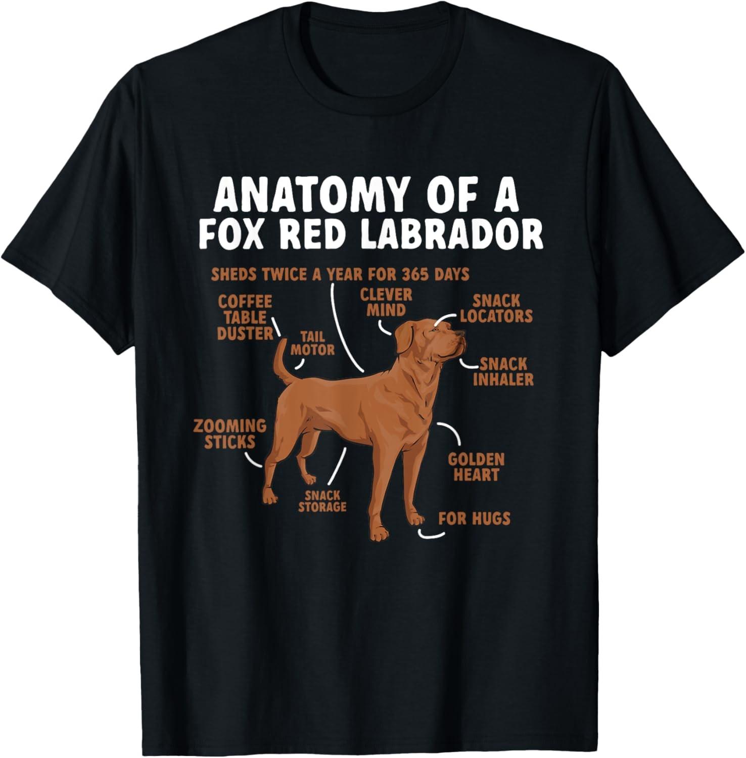 Anatomy Of A Fox Red Labrador Retriever Foxred Lab T-Shirt S разноцветный