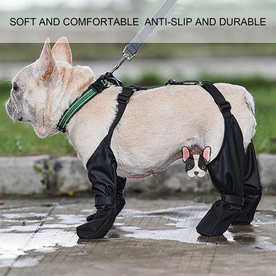 Giyim ve ayakkabı – Köpek ayakkabıları