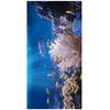 Ultra Soft Microfiber Beach Towel 70x140cm Quick Dry Printed Bath Pool Travel Gym