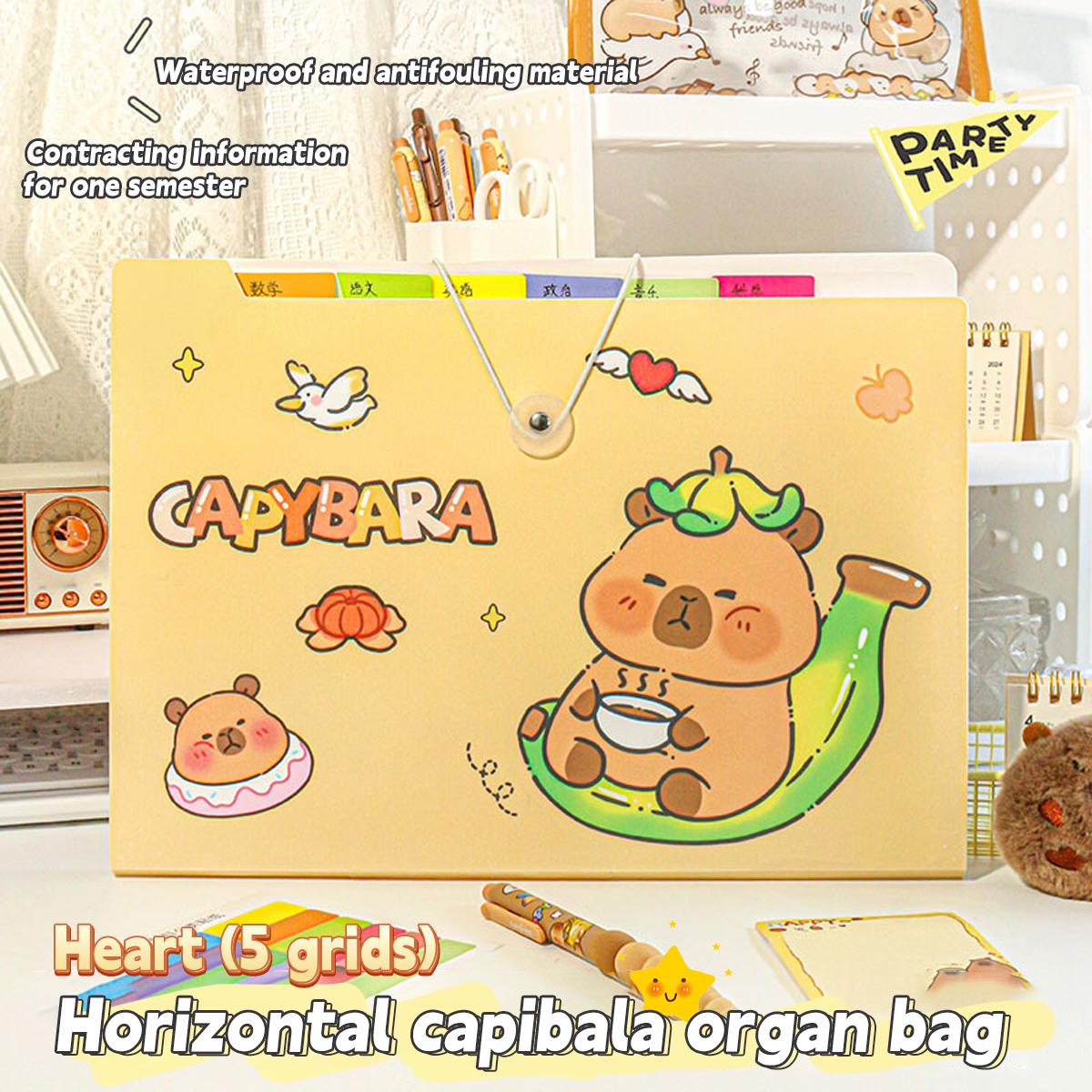 

A4 Data Classification Folder Kawaii Student Large Capacity Accordion Bag School Test Paper Storage Book School Stationery