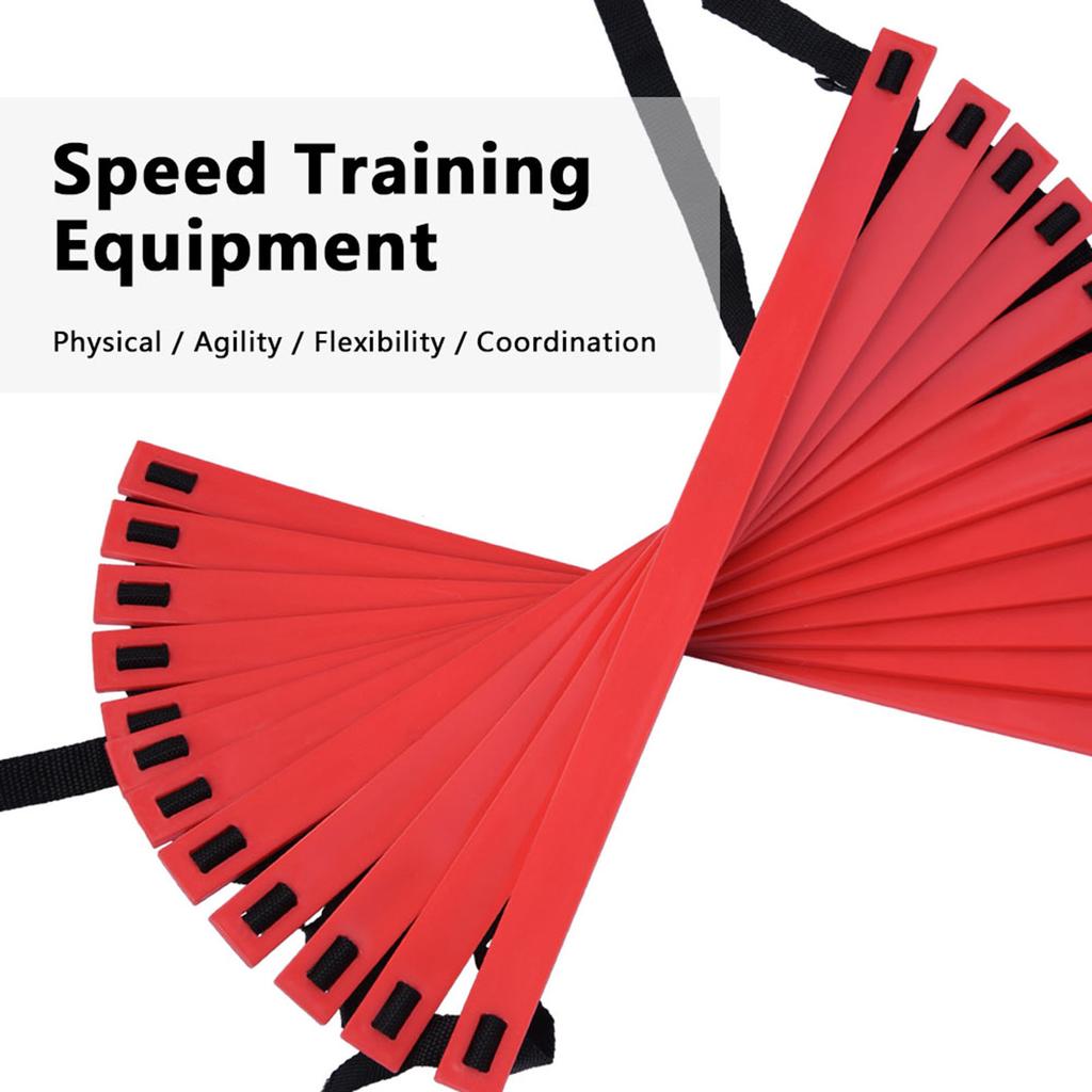 Speed Agility Train Kit, 19Ft Flat Ladder   10pcs Disc Cones for Athletic Training