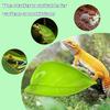 Frog Habitat Leaf with Suction Cup Reptile Basking Area Resting Terrace for Geckos Chameleons
