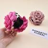 Hot-selling Large-sized Trendy Flower Clipper Decoration A New Summer High-end and Stylish Updo Hair Accessory