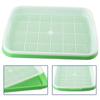 Nursery Pots Tray Grow Basket Hydroponics Microgreens Plate Tool Vegetables Buckwheat Double Layer Grass Germination Nursery Pot