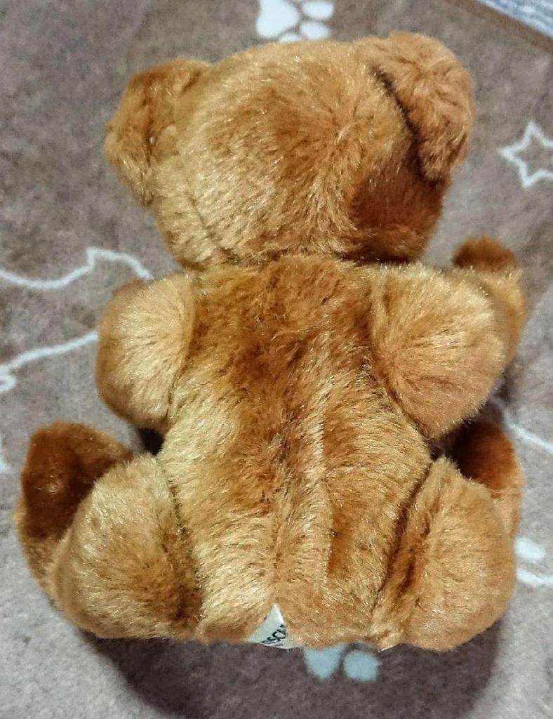 [USED] Teddy Bear Huis Ten Bosch Original Bear Teddy Bear Kingdom