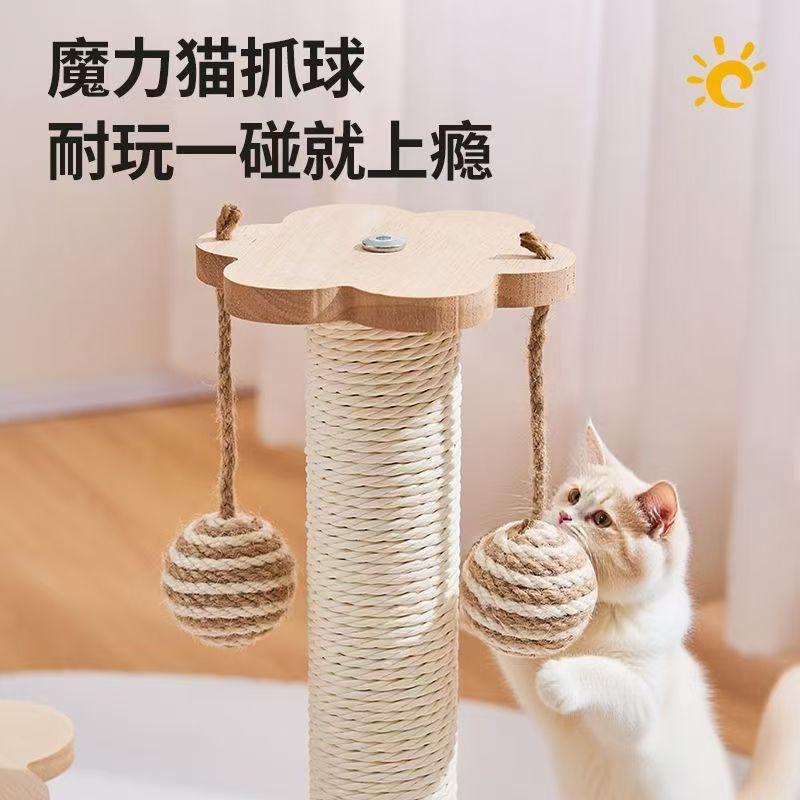 

Happy teasing cat естественный