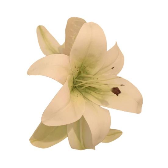 

Заколка для волос 3D Цветок Декор Задняя часть головы Коготь для волос Большой размер Акула Заколка для волос Инструмент для укладки волос Аксессуары для волос белый