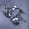BMW S1000R M1000R Thunder Edition Carbon Fiber Side Panel Liners