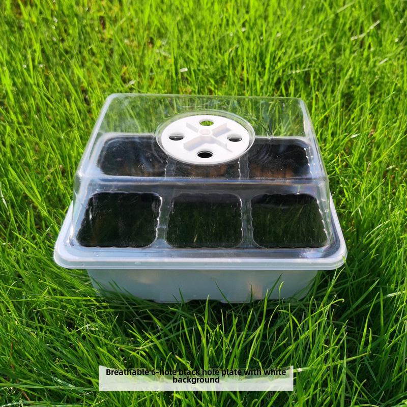 Gardening Seedling Tray Set: 6-Hole & 12-Hole Trays with Air Vents and Switchable Lids - 3 Pieces