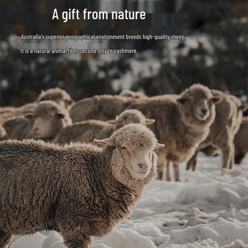 Antuonio Men's 100s Worsted Wool Formal Two-Piece Suit