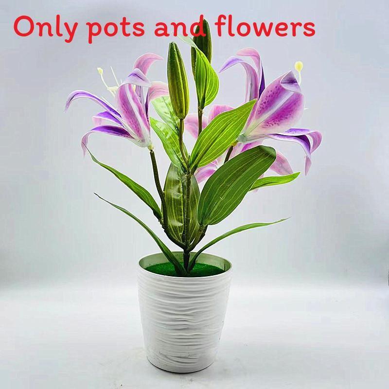Brownii Lilium Var Viridulum Baker Potted Plant For Living Decor Room
