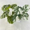 Faux Monstera Leaf 7 Heads Realistic Greenery For Wedding Photography Props