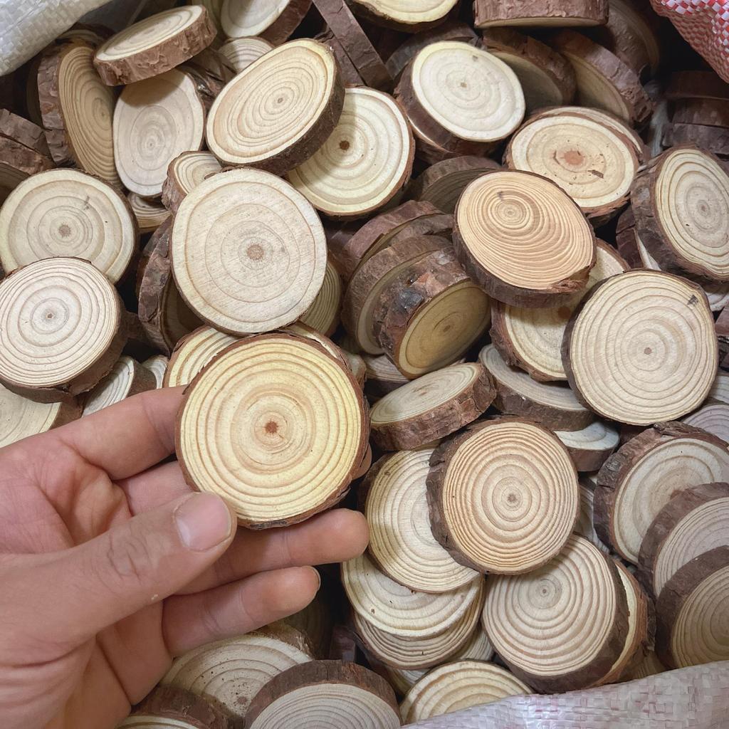 DIY Hand-Painted Wooden Slices for Crafts and Kindergarten Decor – Small Natural Wood Pieces with Growth Rings