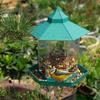 Bird Feeder Outdoor Balcony Semi-Automatic Feeder Courtyard Outdoor Hanging Waterproof Feeder For Wild Sparrows