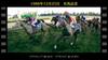 Winning Post 10 2026 [Switch]