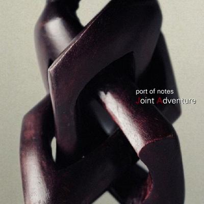 CD PORT OF NOTES - Joint Adventure  KYTHMAK075DA Crue-L Records 2002 Japan Dance & Electronica Gebraucht