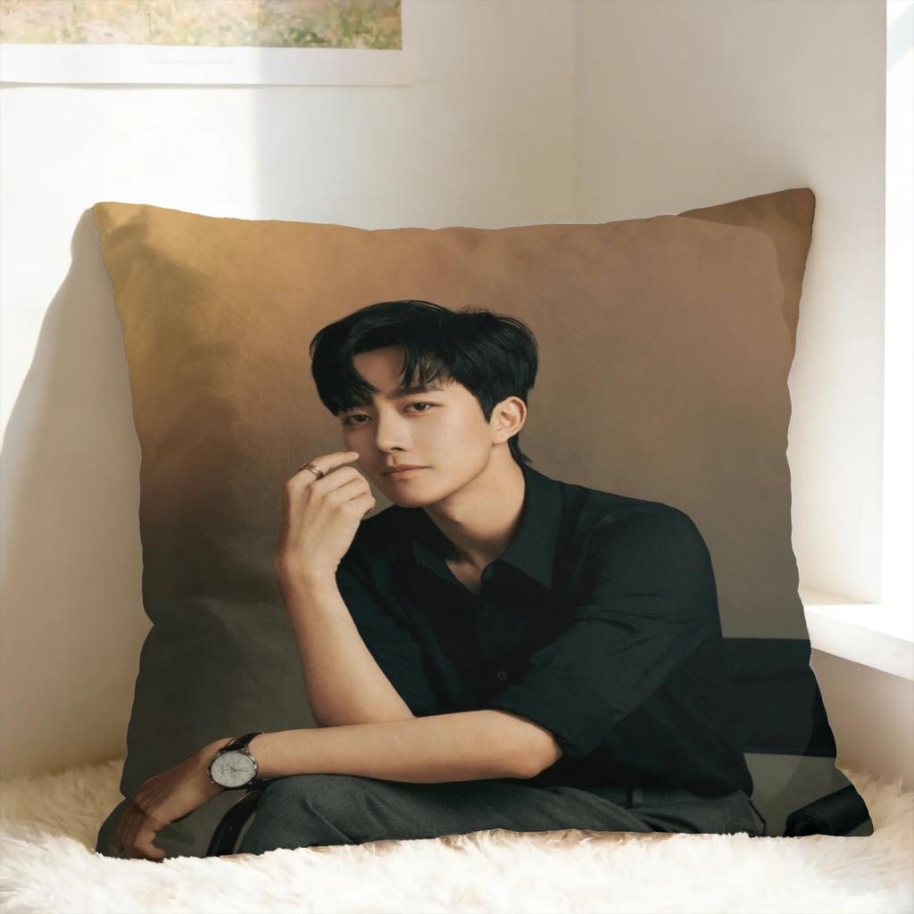 Huang Xing Eliot Huang D-Desire Pillow Case Comfy Pillow Cover For Office Car Home Decor Cute Funny Cushion Cover