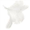 ABWR-80 Pcs Natural Ostrich Feathers Wedding Party Decoration White 45-50Cm