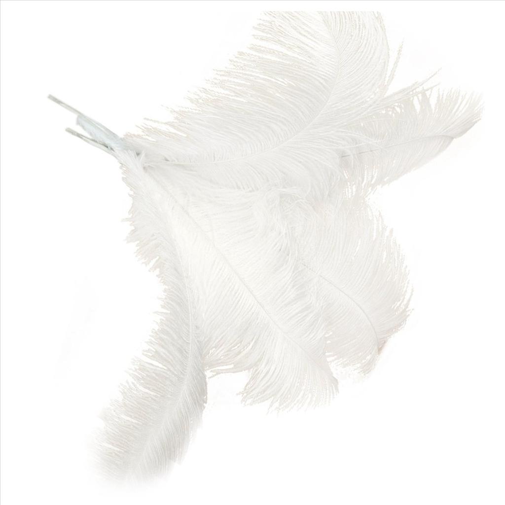 ABWR-80 Pcs Natural Ostrich Feathers Wedding Party Decoration White 45-50Cm