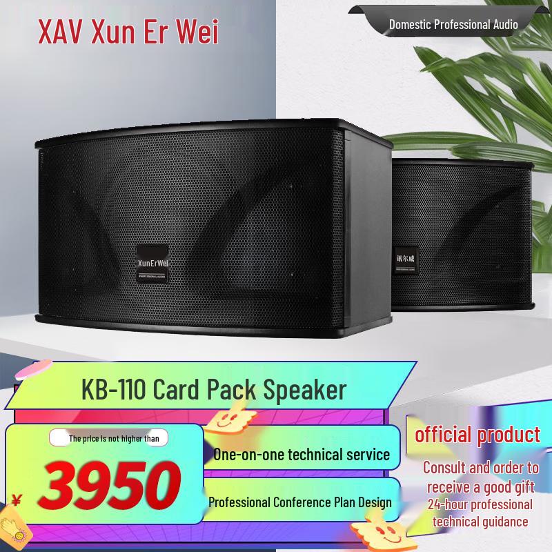 Xun Er Wei Professional Conference & Entertainment Audio-Visual Equipment (CN version)