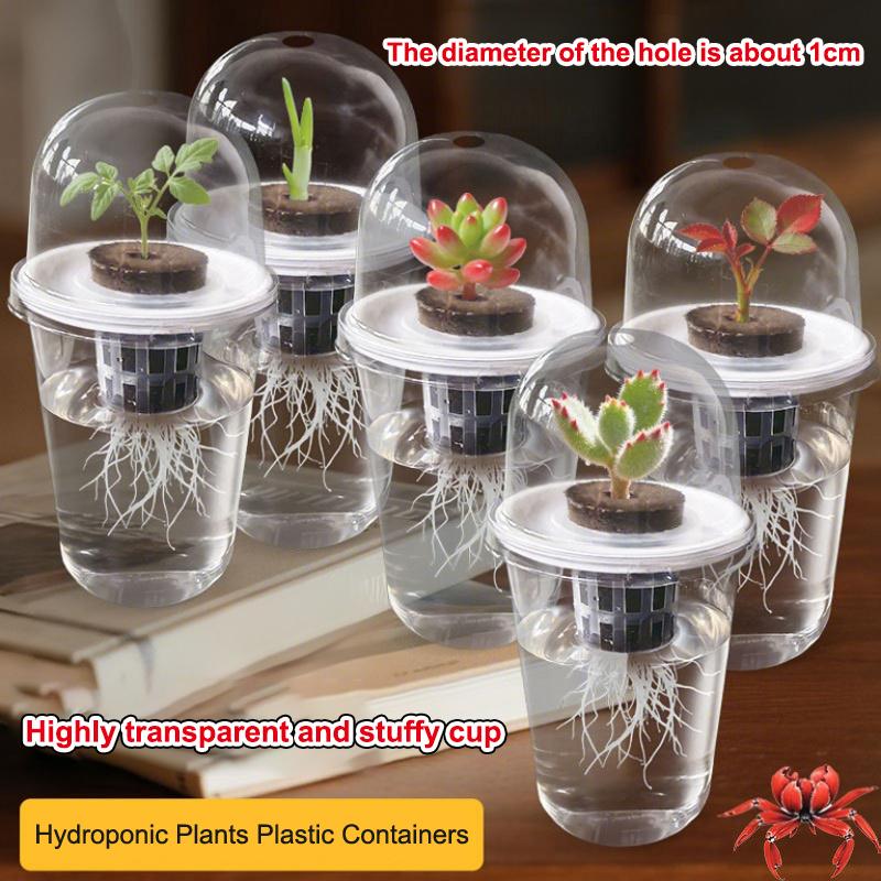 1/5Pcs Visible Clear Plants Germination Cup Transparent Plastic Nursery Growing Box Indoor Garden Greenhouse Seed Starter Tray