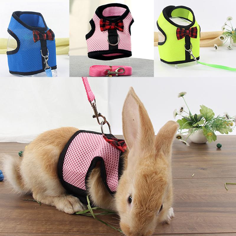 rabbit vest harness