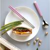 Bonaire Pastel Junior Kids Vacuum Chopsticks + Spoon + Case Set, Pink, Korean Popular Tableware