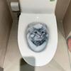 3D Katze Hund Wandaufkleber Selbstklebende Toilettensitzaufkleber Lustige Toilettenaufkleber Heimdekoration