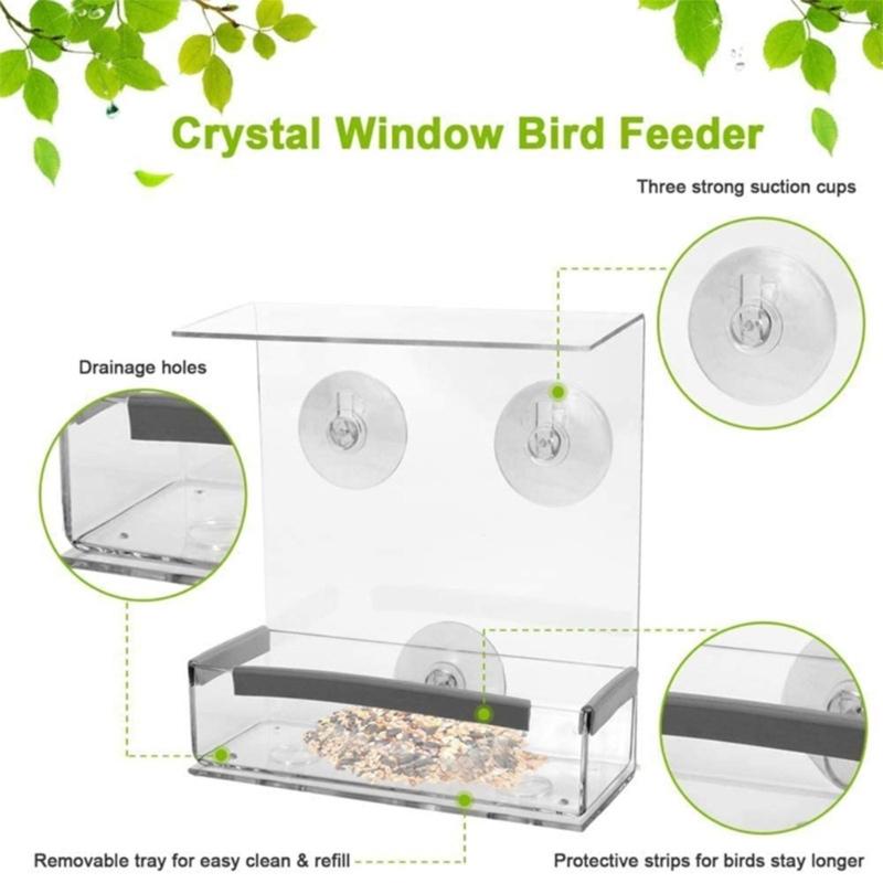 Acrylic Pet Birds Food Feeder Seed Tray for Lovebirds Finches Canary Hamsters Poultry Feeder Seed Feeding Containers